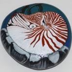 Shell Rock